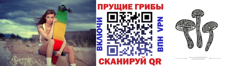 Псилоцибиновые грибы прущие грибы  Полесск 